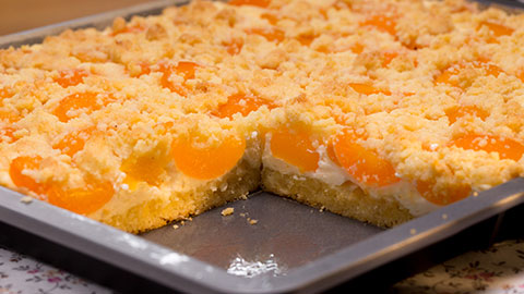 Schneller Quark Streusel Kuchen Mit Obst Rezept Essen Und Trinken